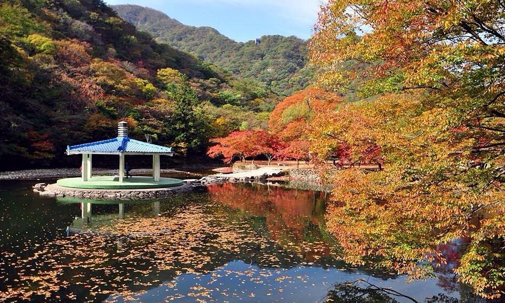 Naejangsan National Park: Surga Musim Gugur di Korea Selatan