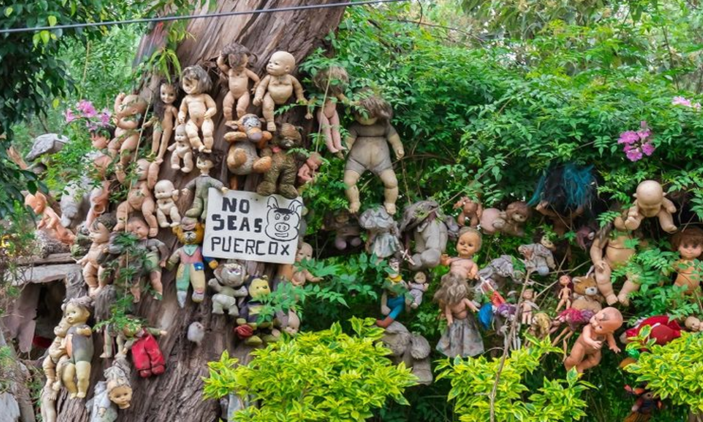 Pulau Boneka: Misteri Boneka di Tengah Kanal Xochimilco